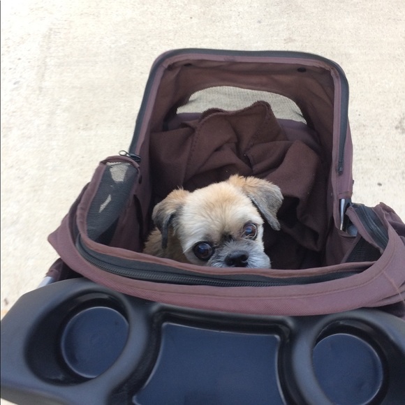 AnnJay and Sam Fashion super stars always in style - Picture 1 of 8